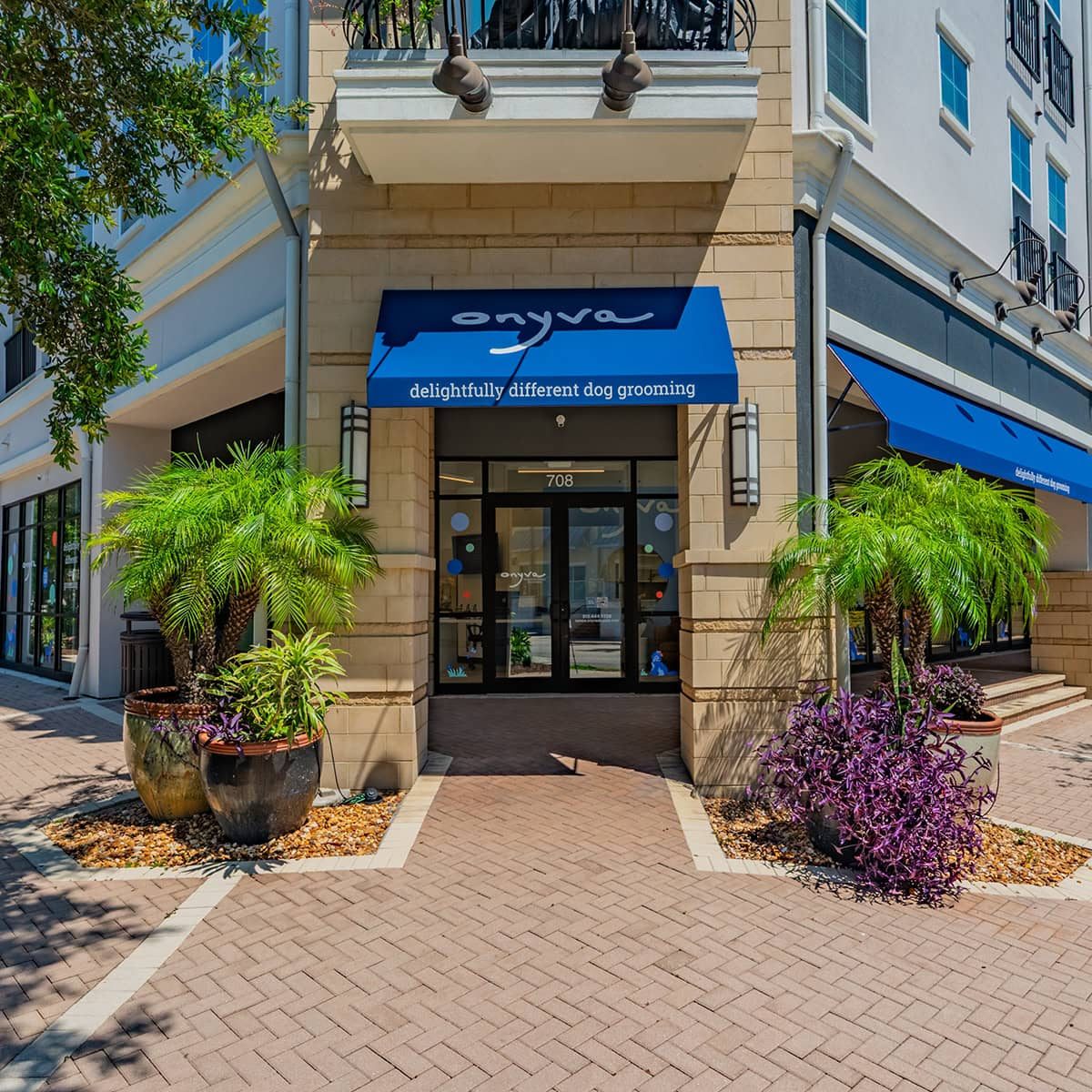 Onyva DogSpa South Tampa